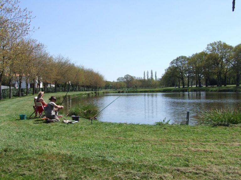 Campings Avec étang De Pêche En Vendée Nord Parthenay 